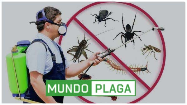 Control de plagas Girona Ciudad