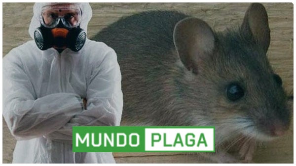 Control de plagas Astorga