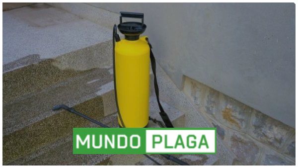 desinfección - desinsectación y desratización a particulares en Palma del Río