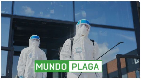 desinfección - desinsectación y desratización a particulares en Peñaranda de Bracamonte