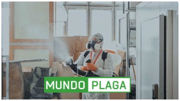 desinfección - desinsectación y desratización a particulares en Puebla de Sanabria