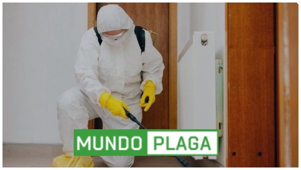 desinfección - desinsectación y desratización a particulares en Huesca Ciudad