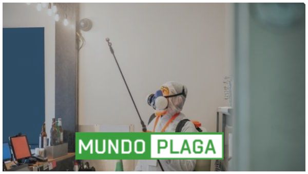 desinfección - desinsectación y desratización a particulares en Huelva Ciudad