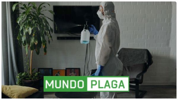 desinfección - desinsectación y desratización a particulares en Palencia Ciudad