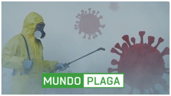 desinfección - desinsectación y desratización a particulares en Mazarrón