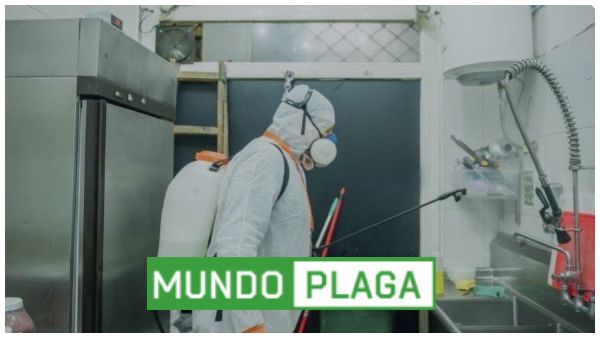 desinfección - desinsectación y desratización a particulares en Badajoz Ciudad