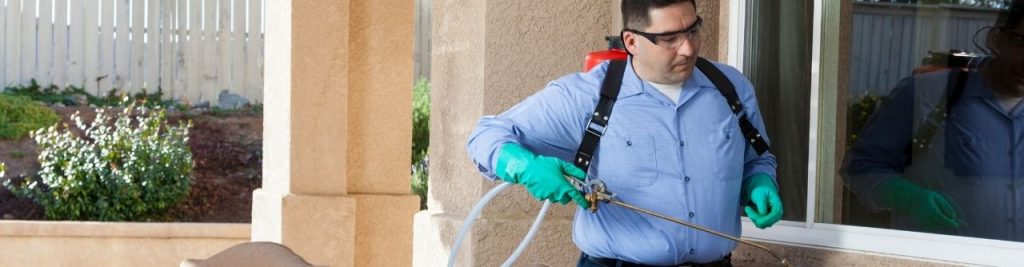 Empresa de Control de plagas Casabermeja - Málaga