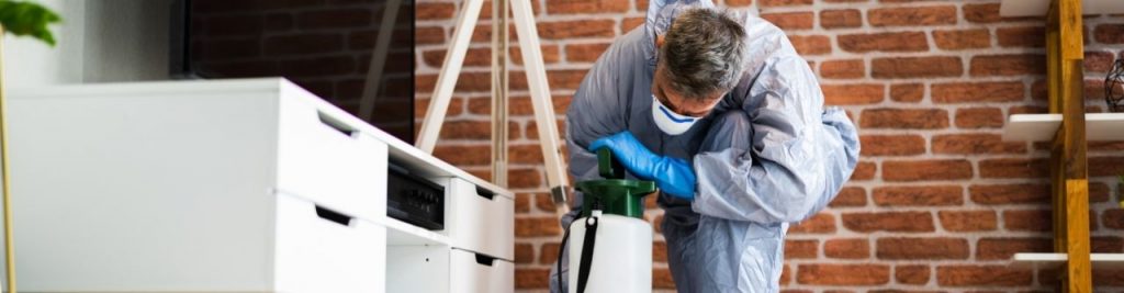 Empresa de Control de plagas Casarabonela - Málaga