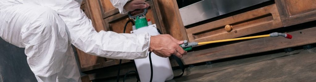 Empresa de Control de plagas Frigiliana - Málaga