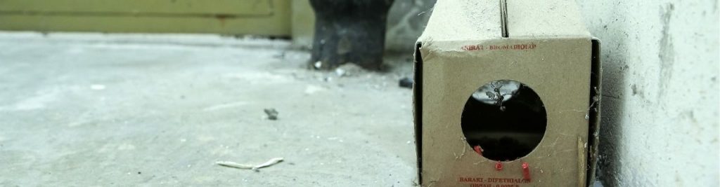 Empresa de Control de plagas Monda - Málaga