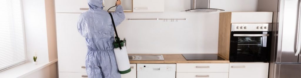 Empresa de Control de plagas Riogordo - Málaga